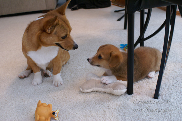Kira&Kuma